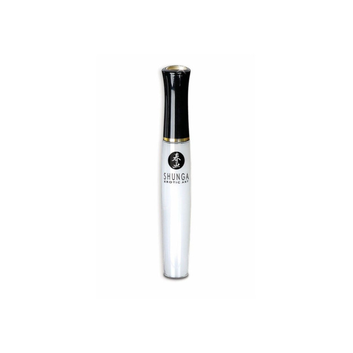 Подарунковий набір Shunga Sweet Kisses Kit.